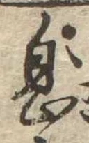 已定位息