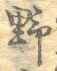 位置 確認된 野