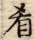 Đã định vị 肴