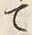 𡨸大