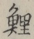 文字鯉
