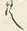 𡨸共