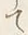 “て”字