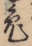 已定位兎