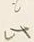 𡨸界