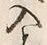 “入”字