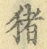 已定位猪