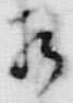 文字相