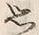 Chữ 思