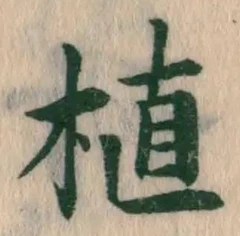 文字 植