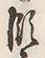 文字濁