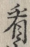 已定位看