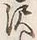 「沢」字