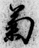 已定位菊