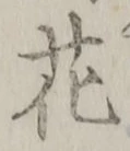 文字 花