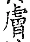 Character 膚