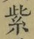 文字紫