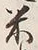 Character 米