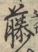 已定位藤