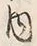文字 内