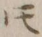文字𪜈