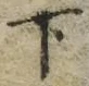 “下”字