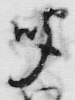 𡨸共