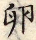 Đã định vị 卵