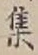 「集」字