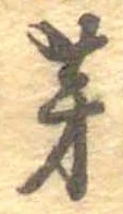 位置 確認된 芽