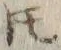 文字𪜈