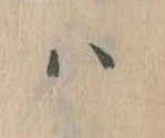 Located 𛂞