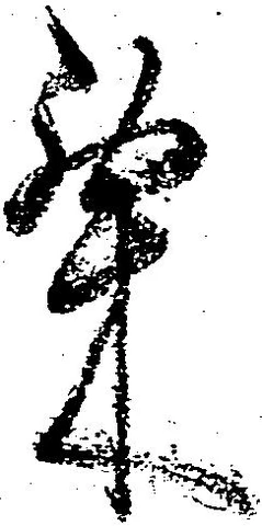 位置 確認된 粟