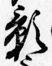 位置 確認된 影