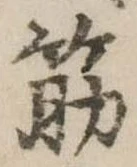 筋の位置