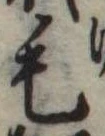 位置定マレル毛
