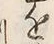 Character 近