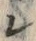 字バ