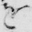 「給」字