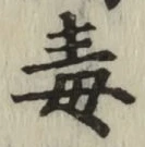 Character 毒
