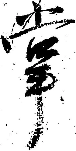 位置定マレル掌