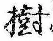 Located 樹