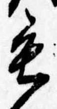 位置定マレル毛