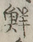 Đã định vị 鮮