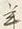 Character 怖