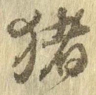 已定位猪