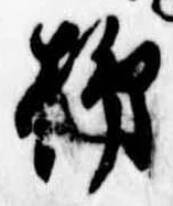 位置定マレル柿