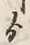 文字 ゟ