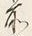 文字前