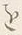 字府